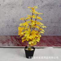 uploads/erp/collection/images/Home Garden/dgjiawang/XU0612539/img_b/XU0612539_img_b_3